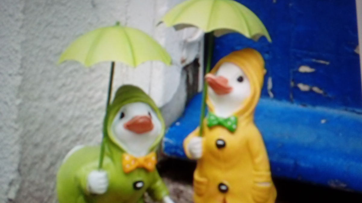 THE DUCK