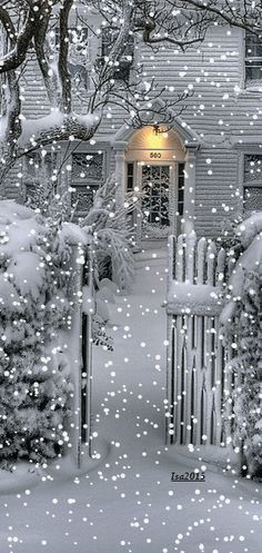 in lamplight