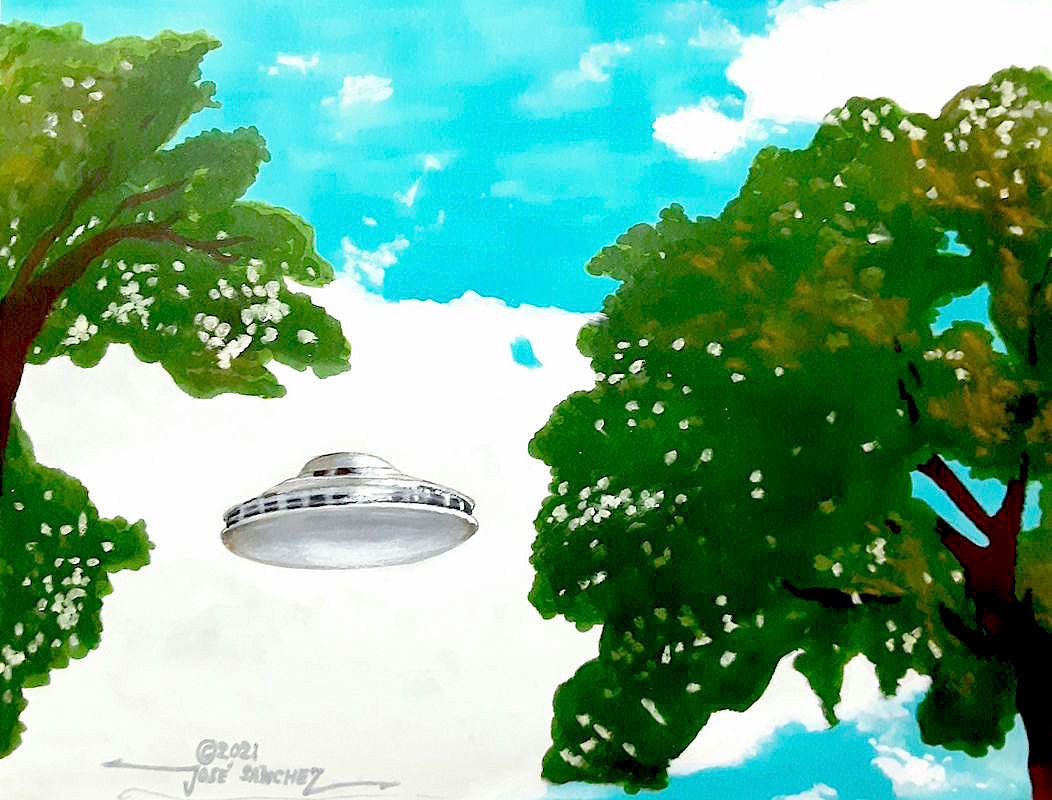 Skimming the Treetops 