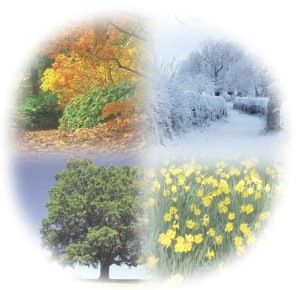 A Calendar Year đź’•