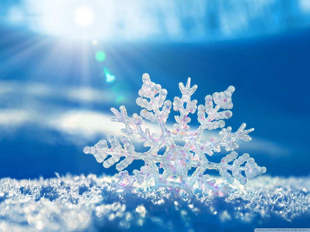 The Solitary Snowflake ❄️