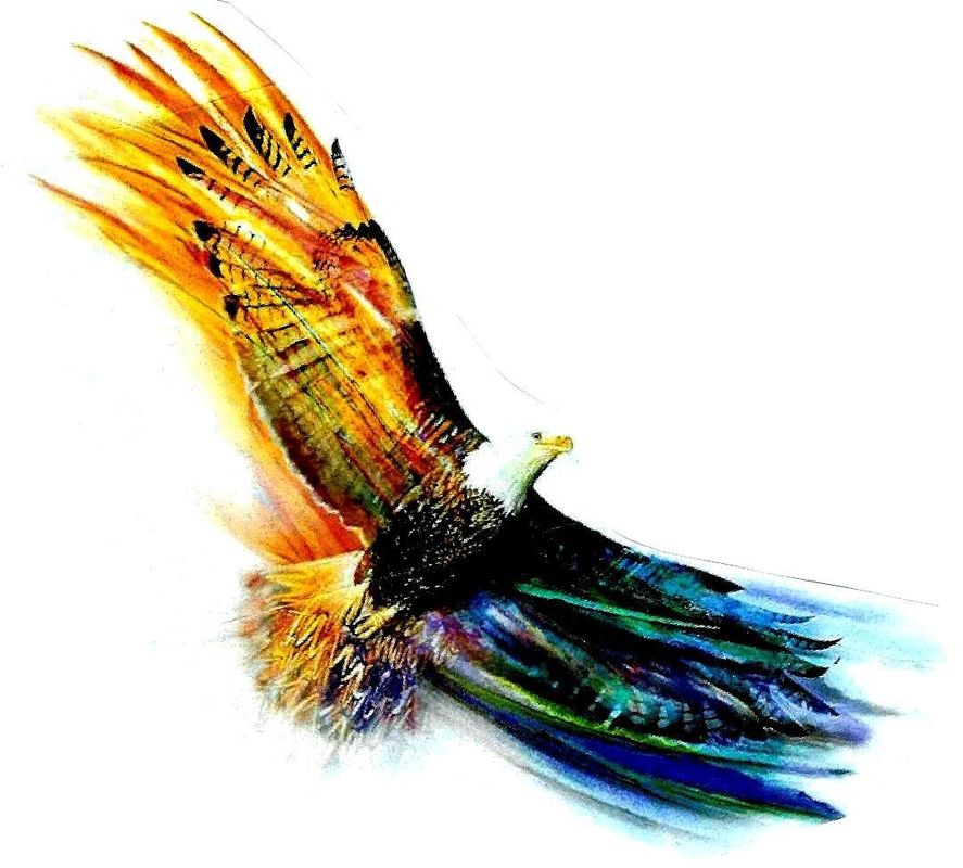 Fly