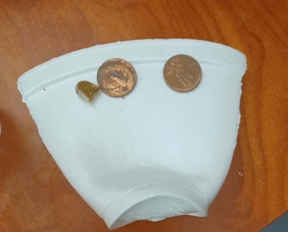 Penny Tup