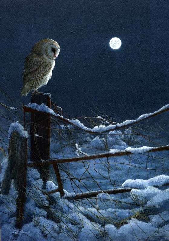 On Frost Nights