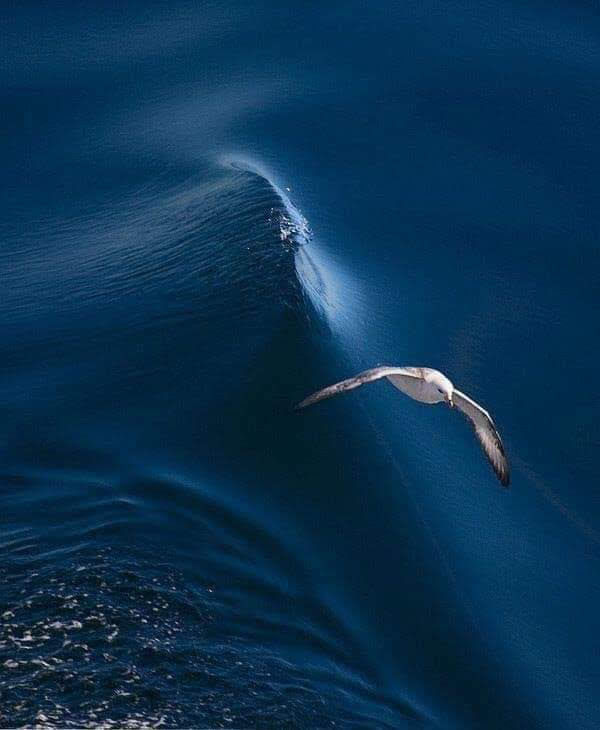 to our silence in the Soul