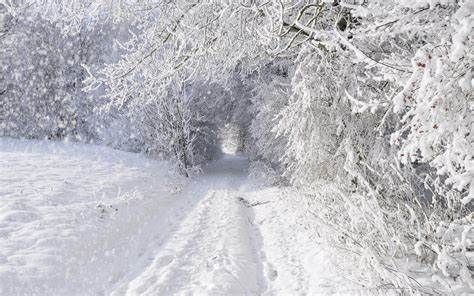 WINTERS HARD BLOW