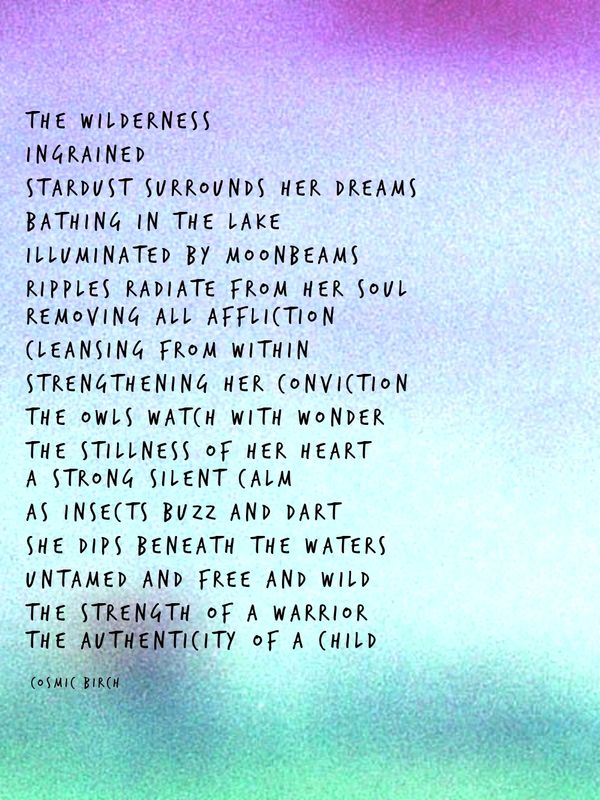 The Wilderness 