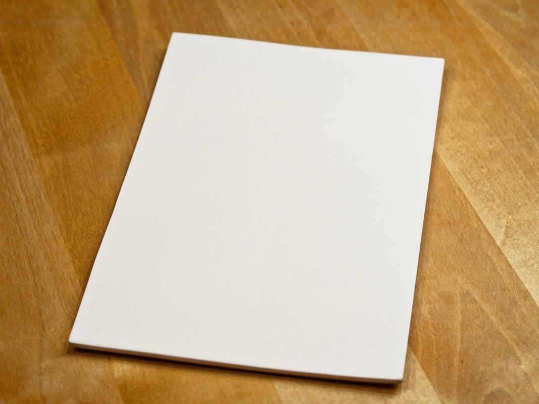 THE BLANK PAGE