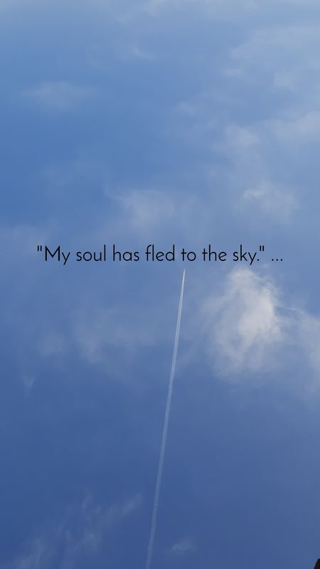 My soul in the sky 👼