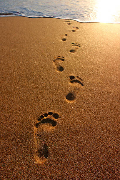 Yesterdays footprints 💕