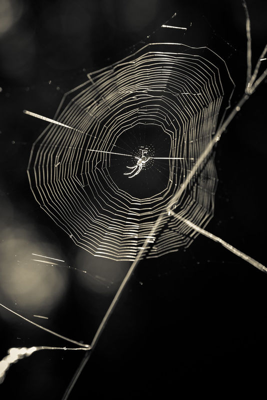 The story of never have and already lost The story of never have and already lost