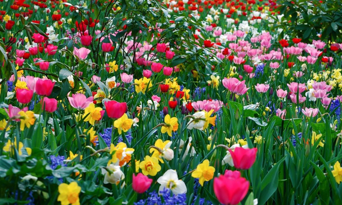 SPRING IS ON THE WAY