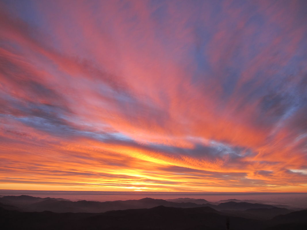 THE SUNSET
