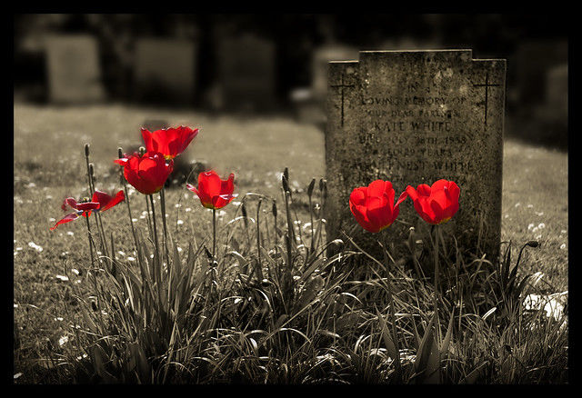 Rustic Flowers