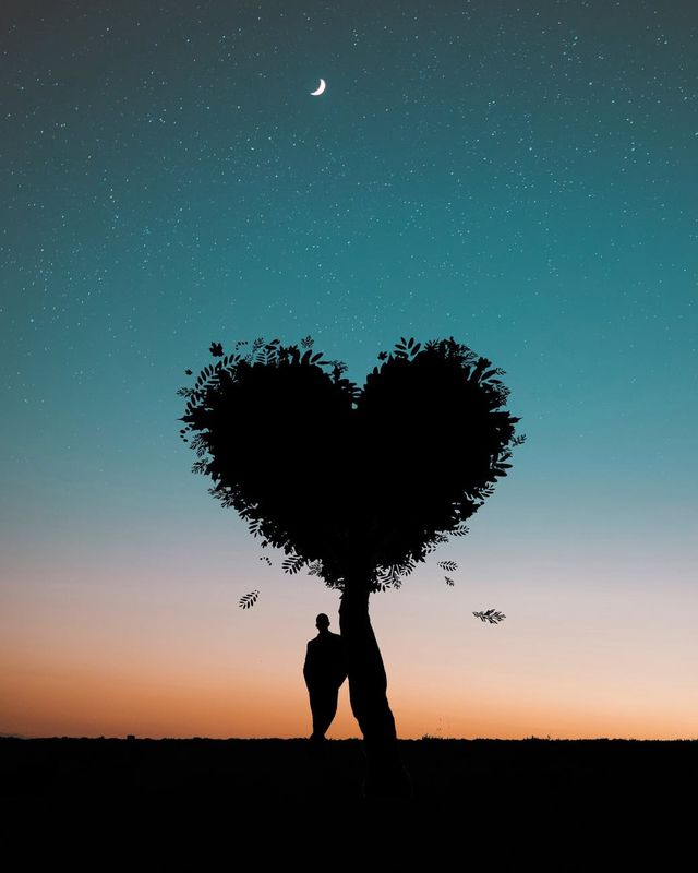 Oh lost lover of mine 💔