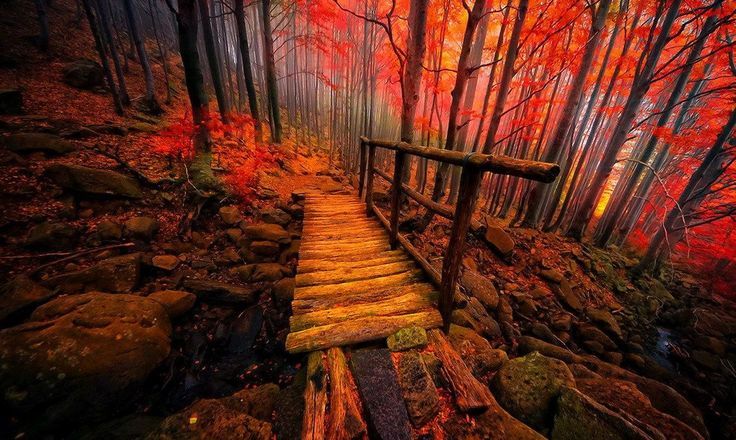 time keeps pace with your forgetfulness