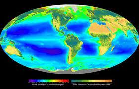 Break of day spawns thwarted revanchist rebellion among biosphere