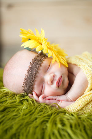 Daffodil dreams