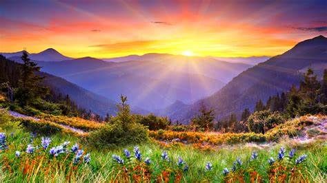 THE QUIET OF THE MORNING