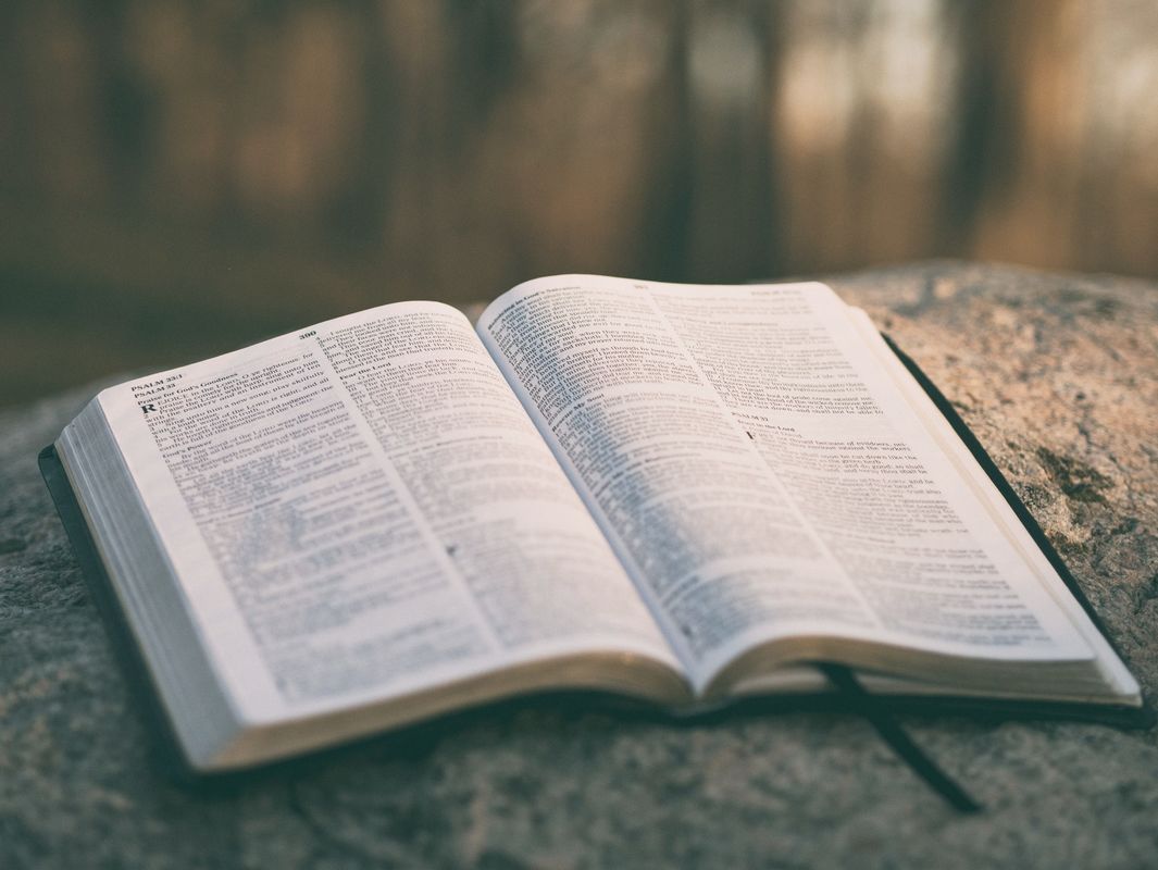 THE PROMISES OF GOD