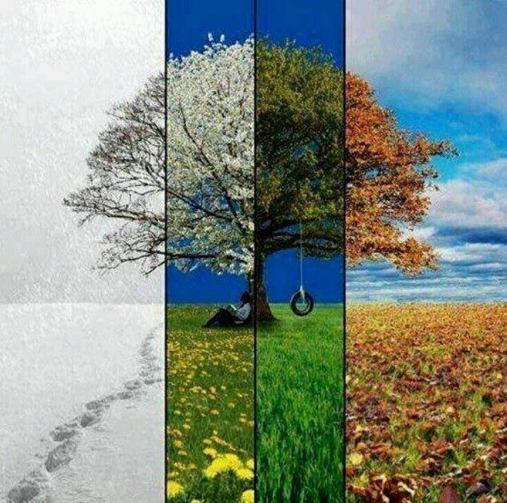 SEASONS