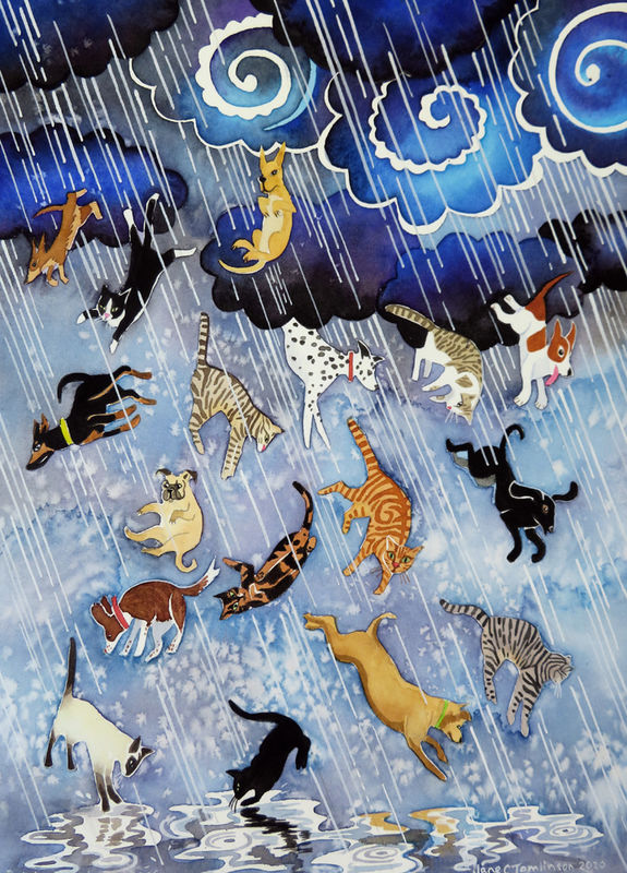 Raining Cats and Dogs 🐕🦺🐈