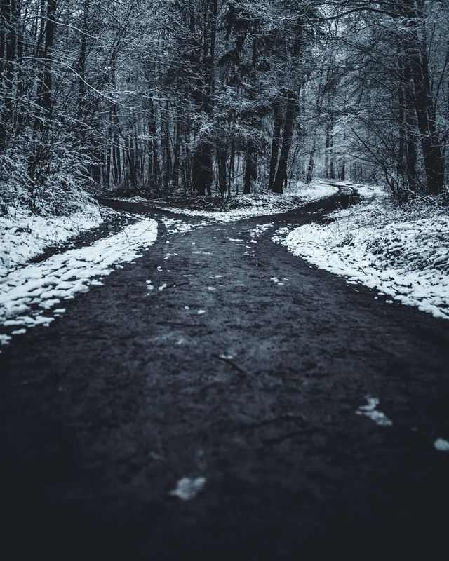 AT THE FORK OF THE ROAD 
