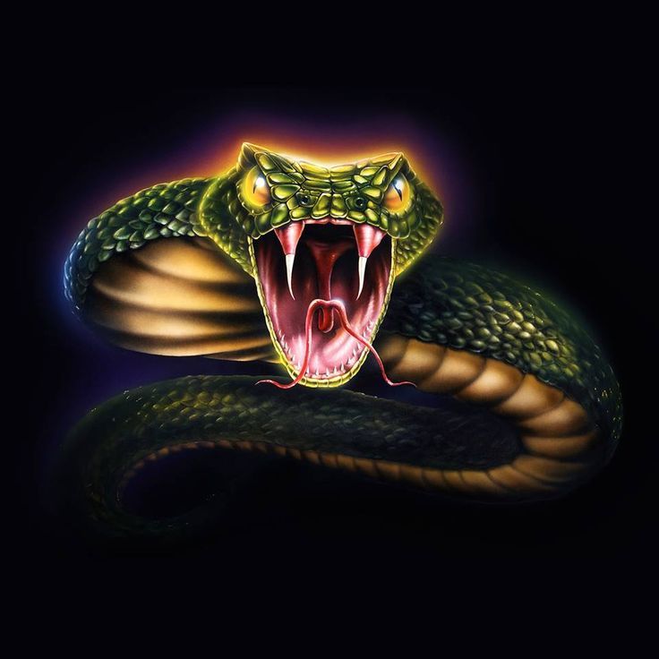~ Venomous Visitor ~