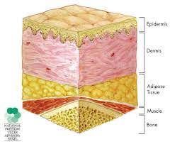 Filched Physiognomy β Mine revisited!