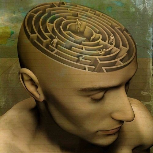 The maze