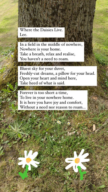 Where The Daisies Live. - Poem by Lee Robbins