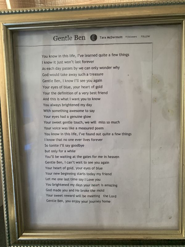 Gentle Ben