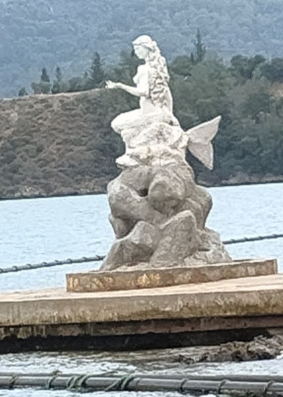 Turkish Mermaid