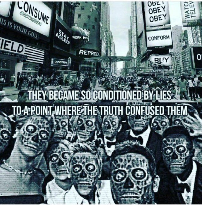 Establishment Elites