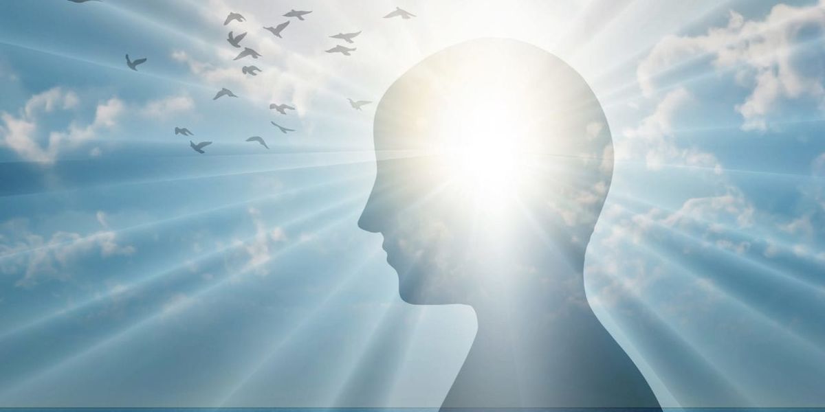 Insightful Dreams