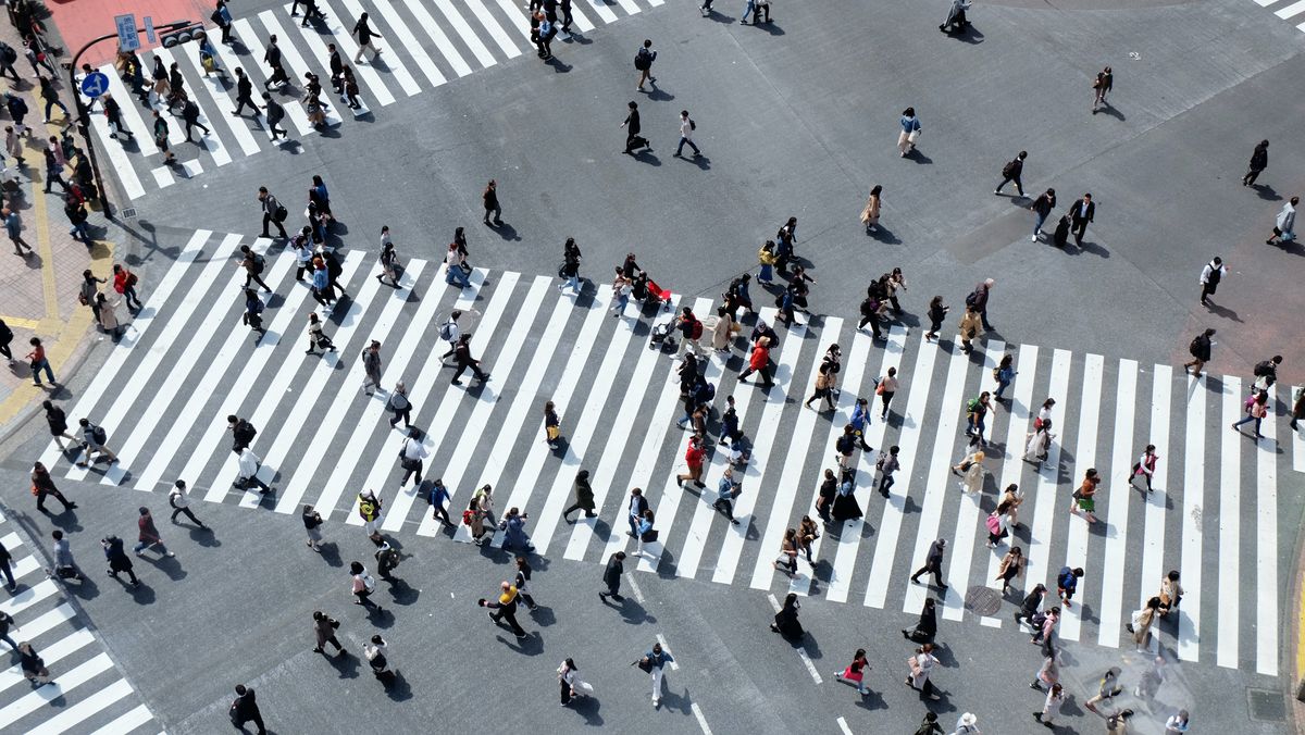 Zebra Crossing