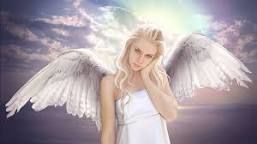 My fallen angel