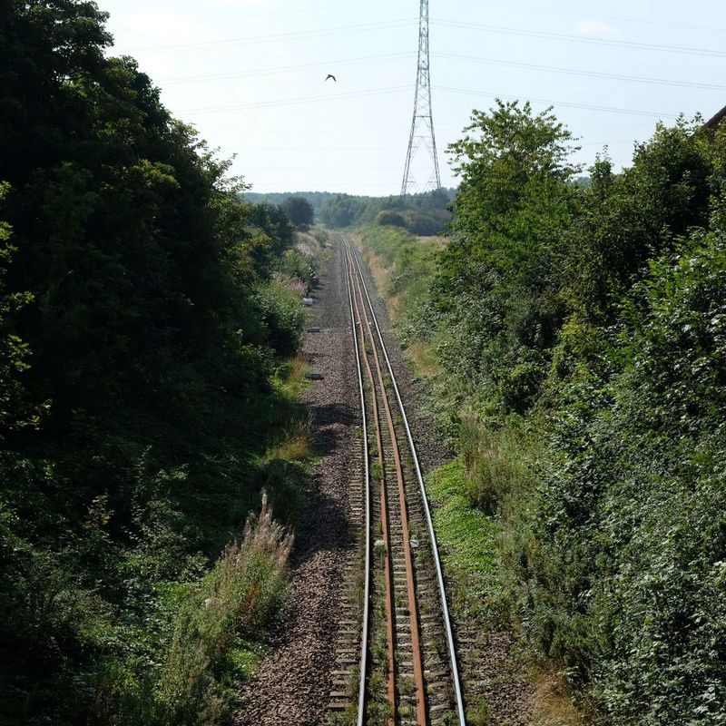 Travelling By Train: ( 11th July, 2022)