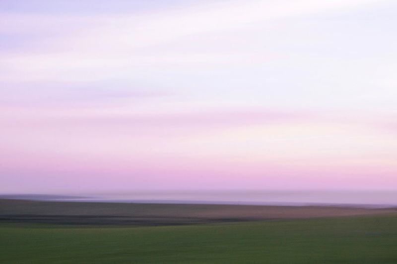 Twilight's Beauty: ( July 24th, 2022)