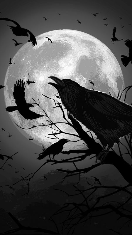 A Raven In The Shadows of Moonlight 