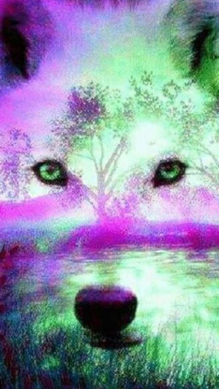 Falls missing love
