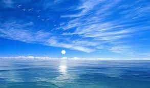 Oceanic Dreams