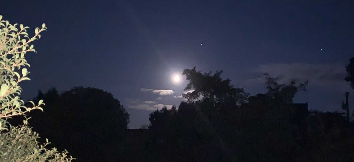 This August Moon...( Haiku)