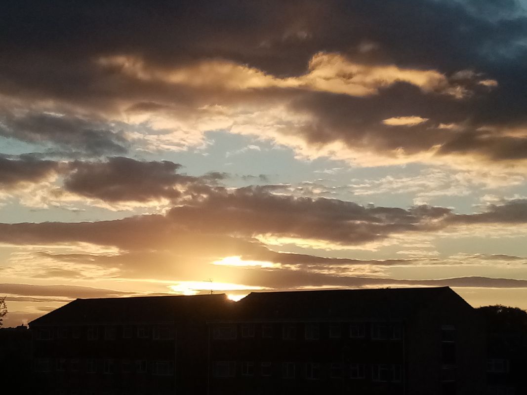 Bring your sunshine