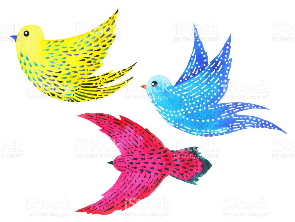 WILLIAMSJI MAVELI : FREEDOM 