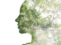 Nature & Art