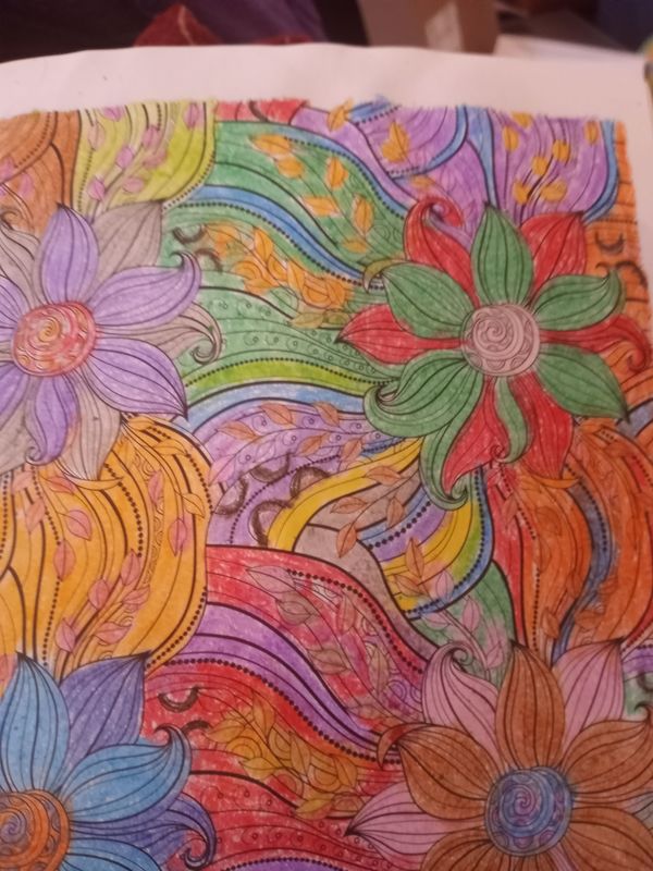 Colors