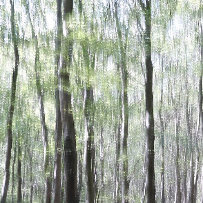 Early September: ( Haiku)