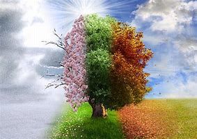 Cyclical Time: ( Nature Theme)