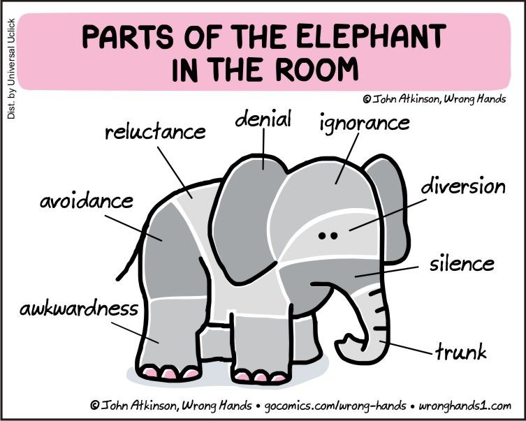 The Elephant In The Room